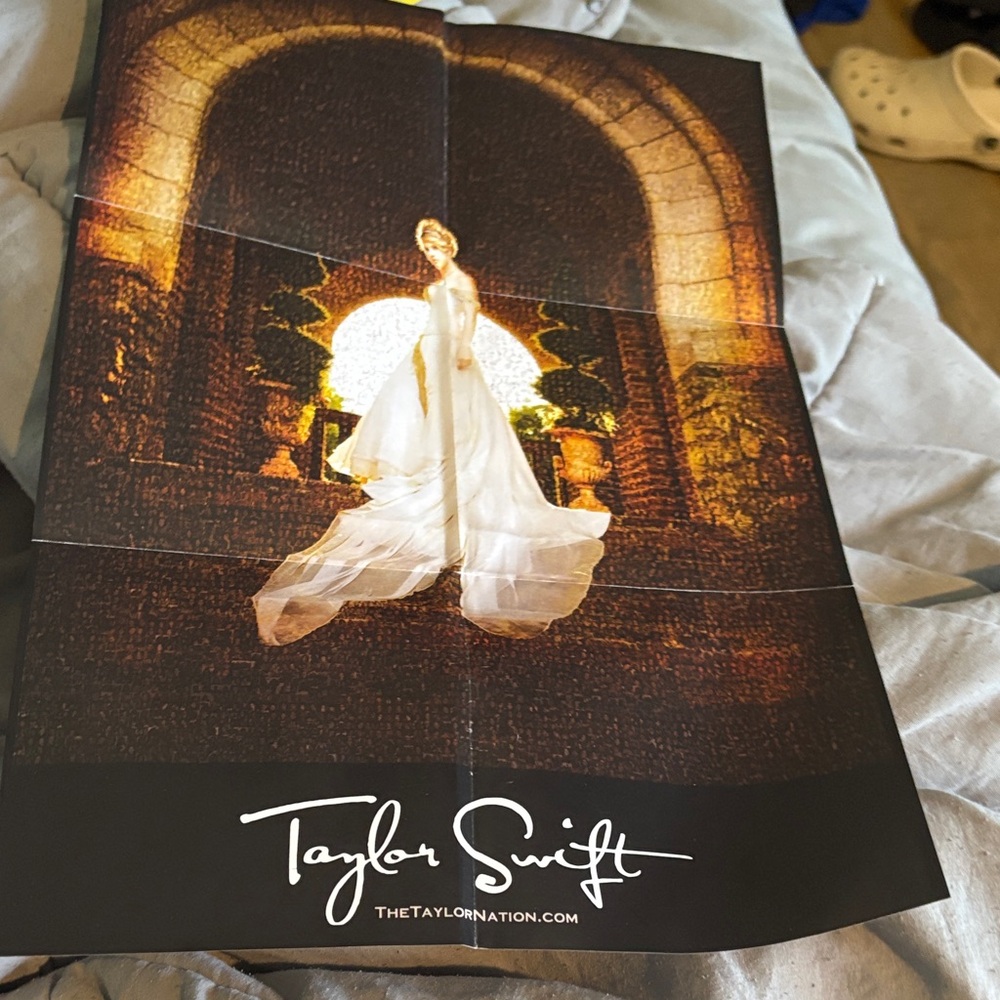 Taylor Swift Concert Poster